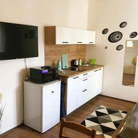Apartment City Center Apartments - Moderna Brno Rimske Namesti V Brno